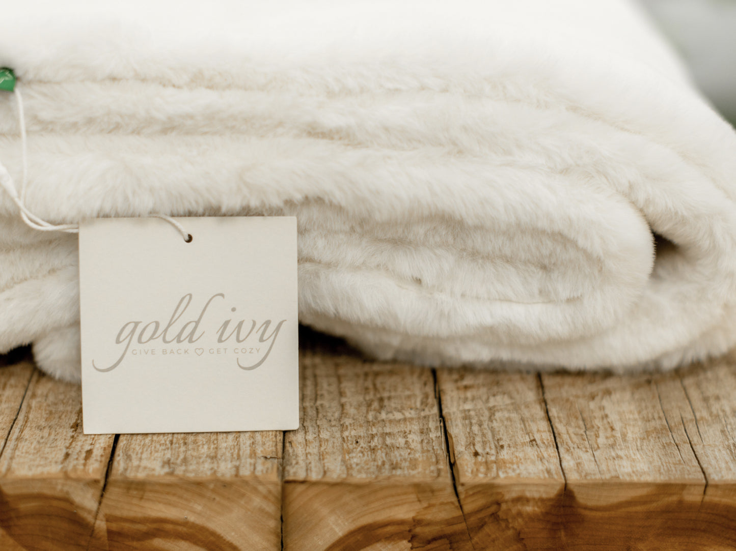 Comfy Cozy Blanket Collection