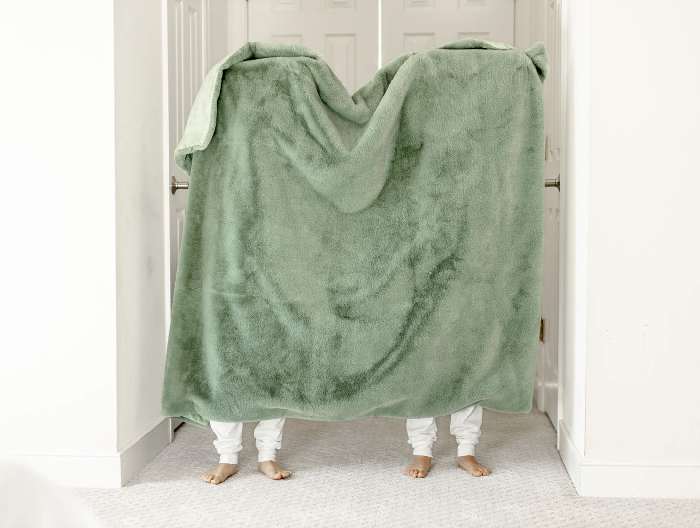 Comfy Cozy Blanket Collection